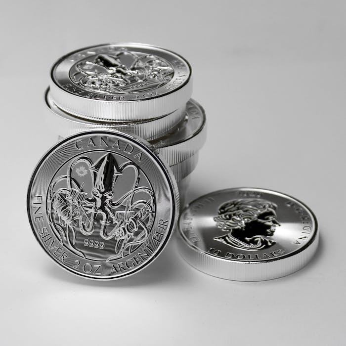 team-04 Close-up of Canadian silver coins highlighting intricate designs and monetary value.